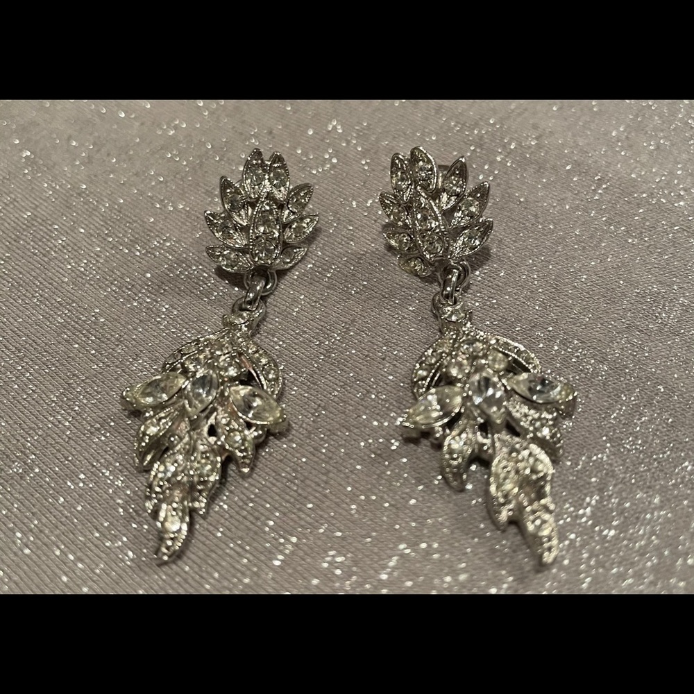 Shiny silver earrings